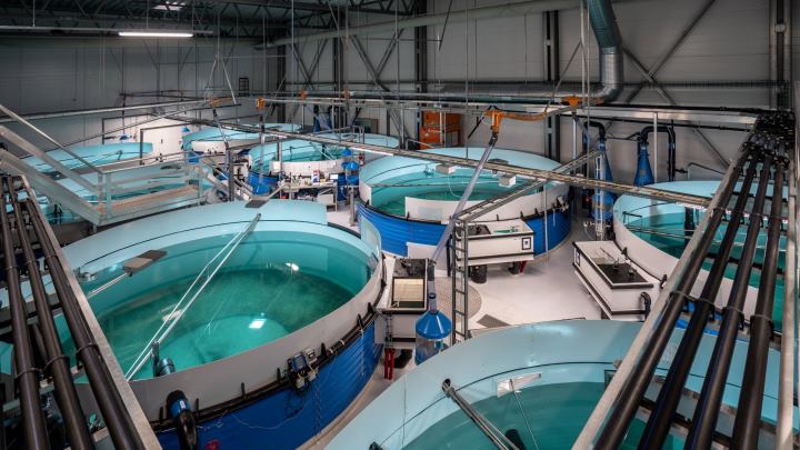 Optimal growth conditions for salmon at Svaberget Smolt