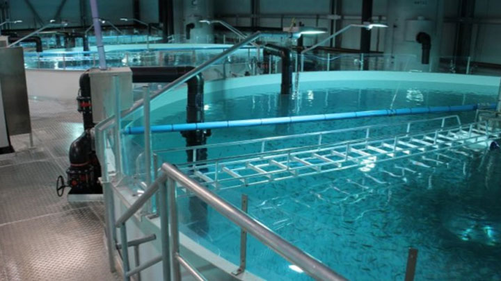Marine-based aquaculture